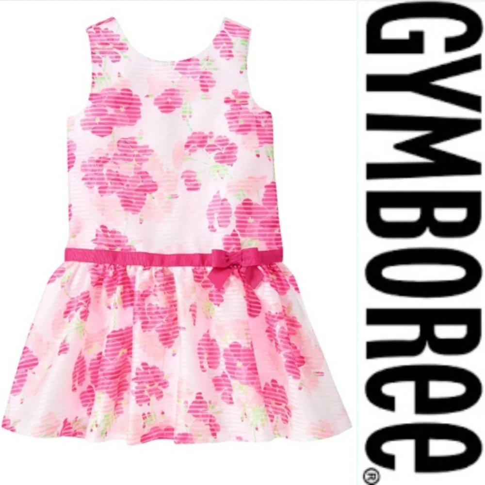 Gymboree Sleeveless Floral Organza‎ Occasion Dress